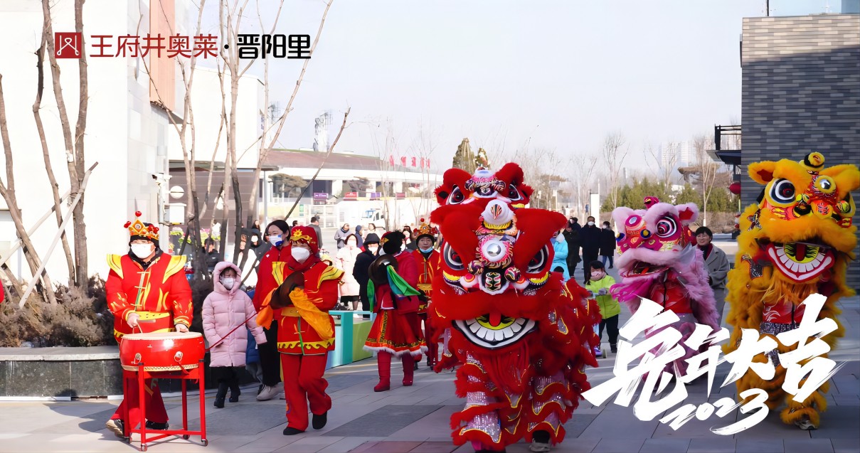 龙8头号玩家奥莱·晋阳里