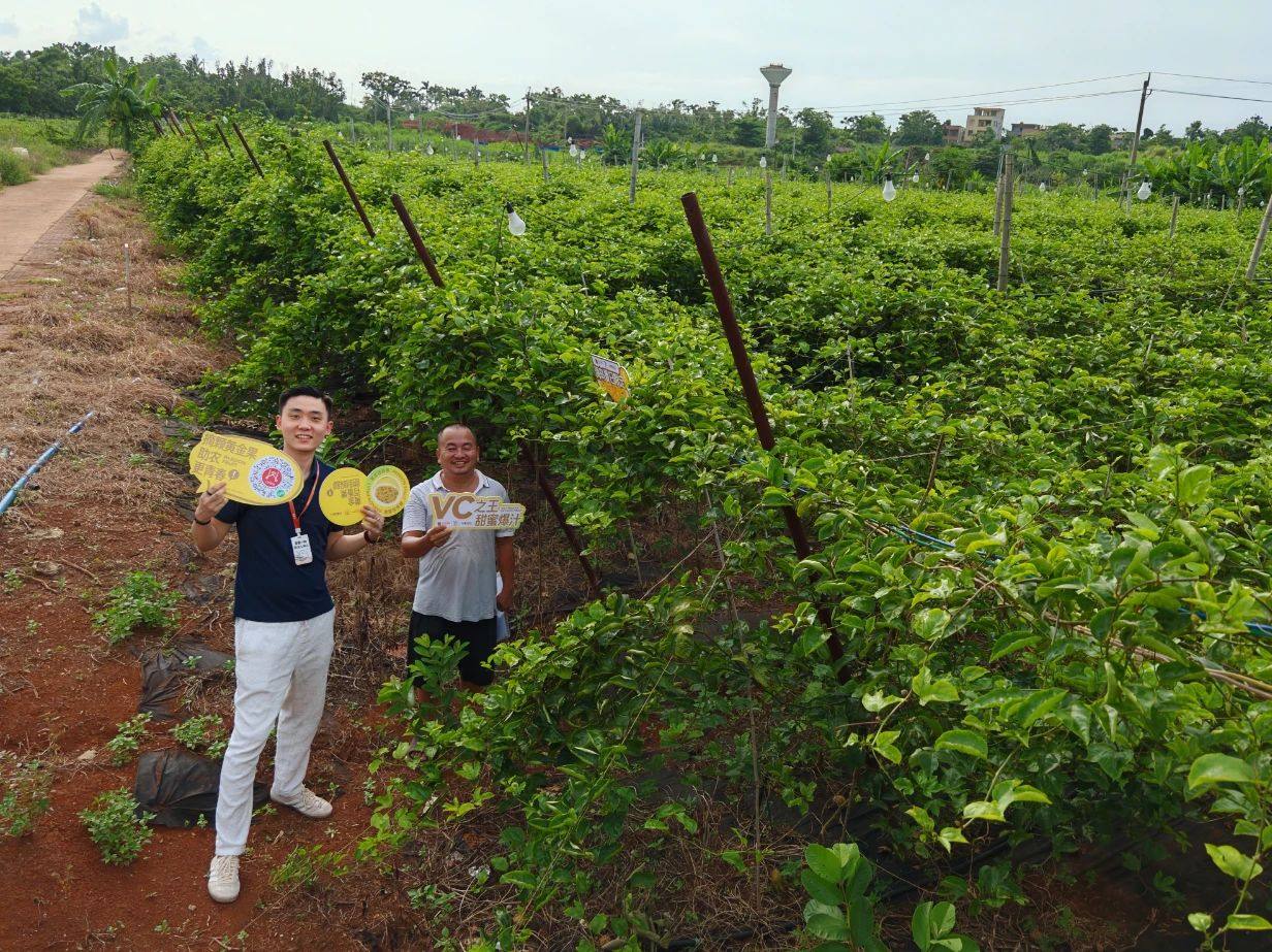 17546356771160784271232_923