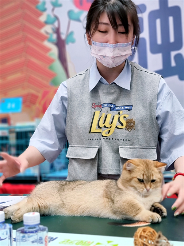 龙8头号玩家(国际集团)官方网站