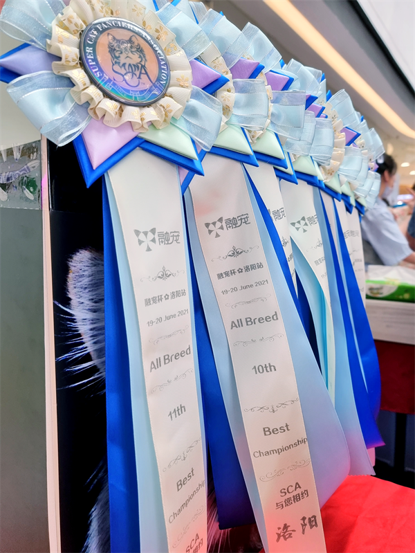 龙8头号玩家(国际集团)官方网站