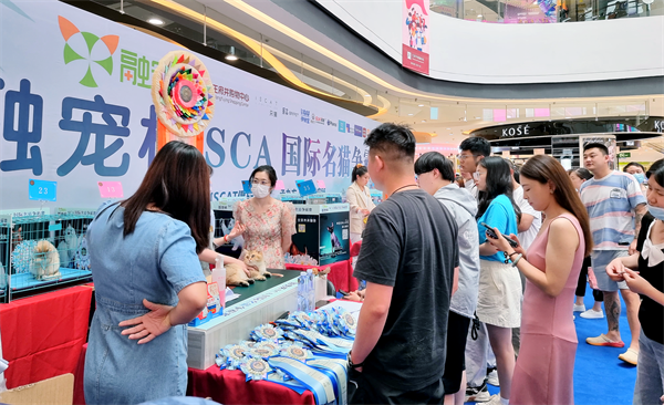 龙8头号玩家(国际集团)官方网站