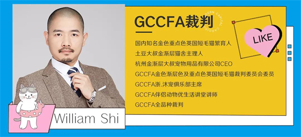 龙8头号玩家(国际集团)官方网站