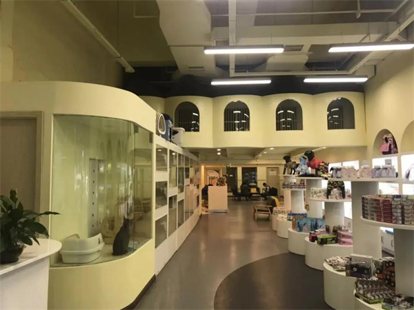 龙8头号玩家(国际集团)官方网站