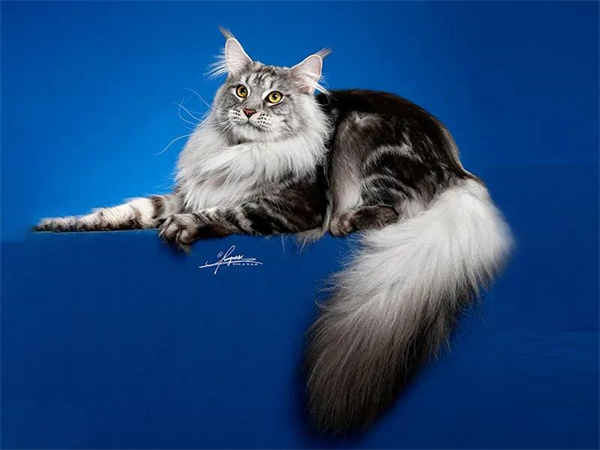 龙8头号玩家(国际集团)官方网站