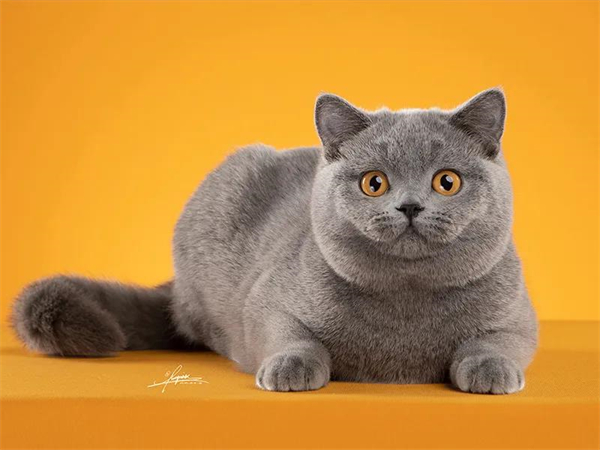 龙8头号玩家(国际集团)官方网站