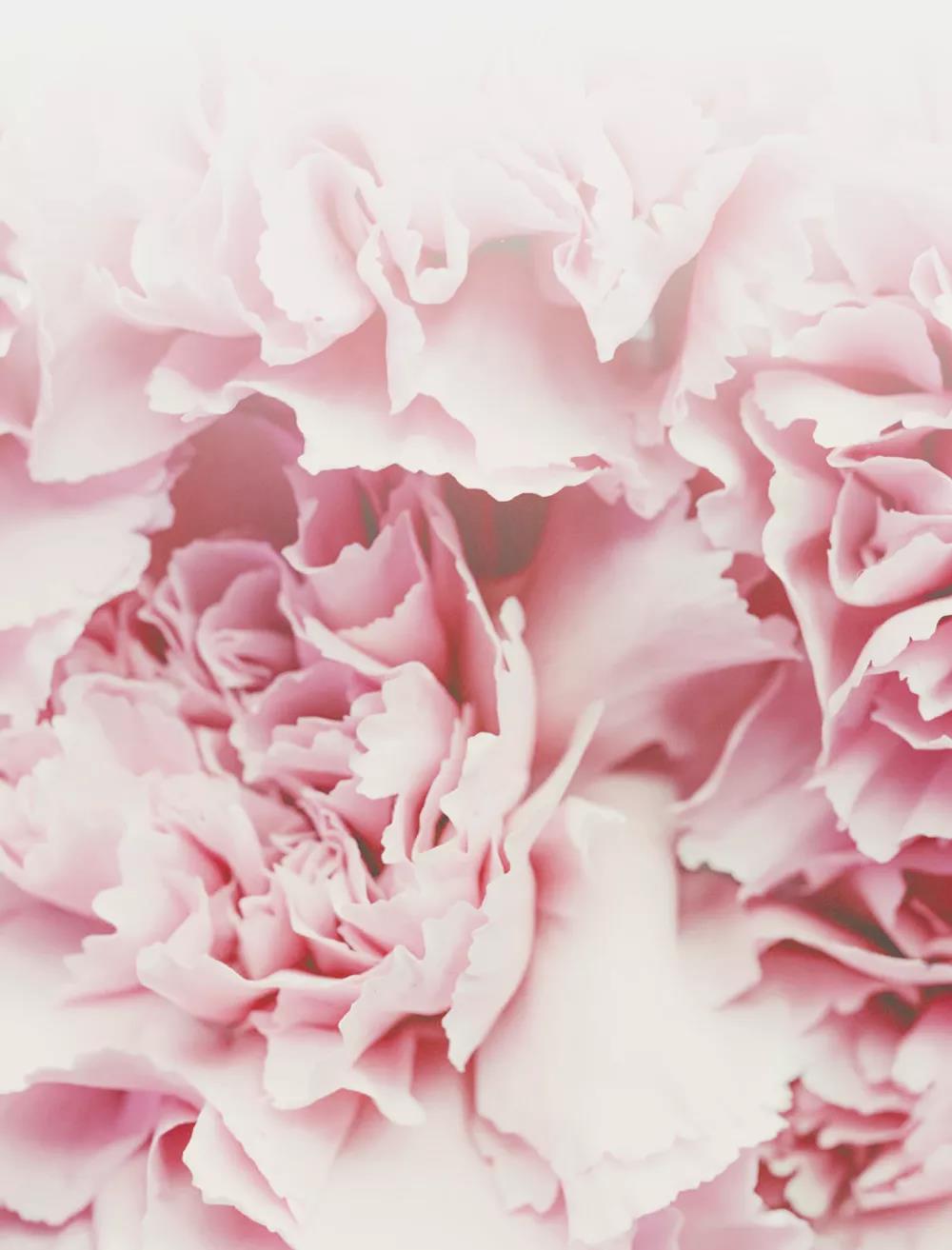 龙8头号玩家(国际集团)官方网站