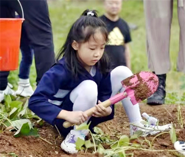 龙8头号玩家(国际集团)官方网站