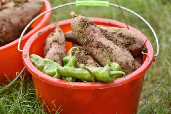 龙8头号玩家(国际集团)官方网站