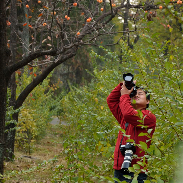 龙8头号玩家(国际集团)官方网站