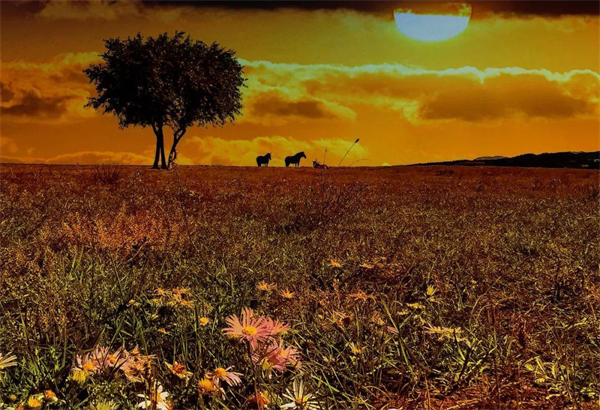 龙8头号玩家(国际集团)官方网站