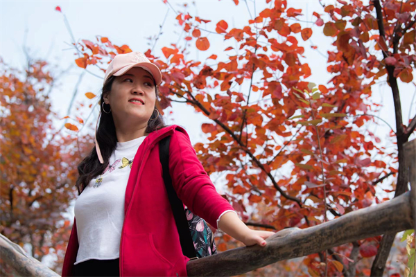 龙8头号玩家(国际集团)官方网站