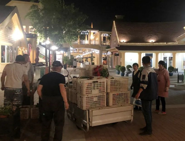 龙8头号玩家(国际集团)官方网站