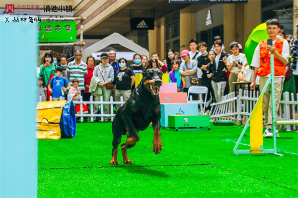 龙8头号玩家(国际集团)官方网站