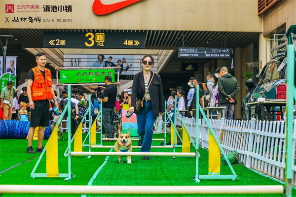 龙8头号玩家(国际集团)官方网站