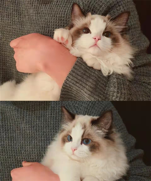 龙8头号玩家(国际集团)官方网站