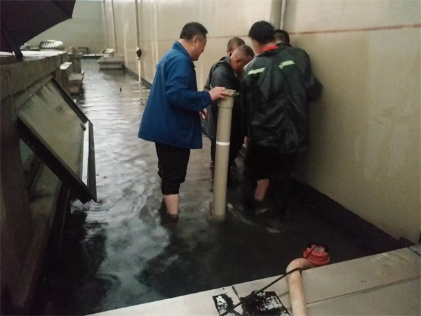 龙8头号玩家(国际集团)官方网站